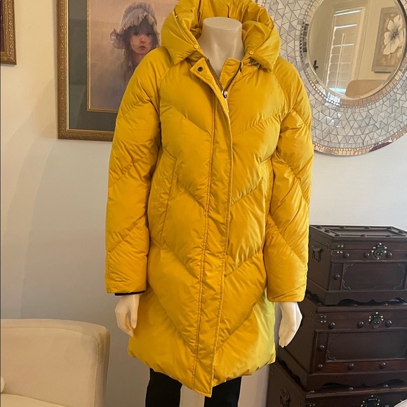 Puffy Parka - Picture 3 of 14